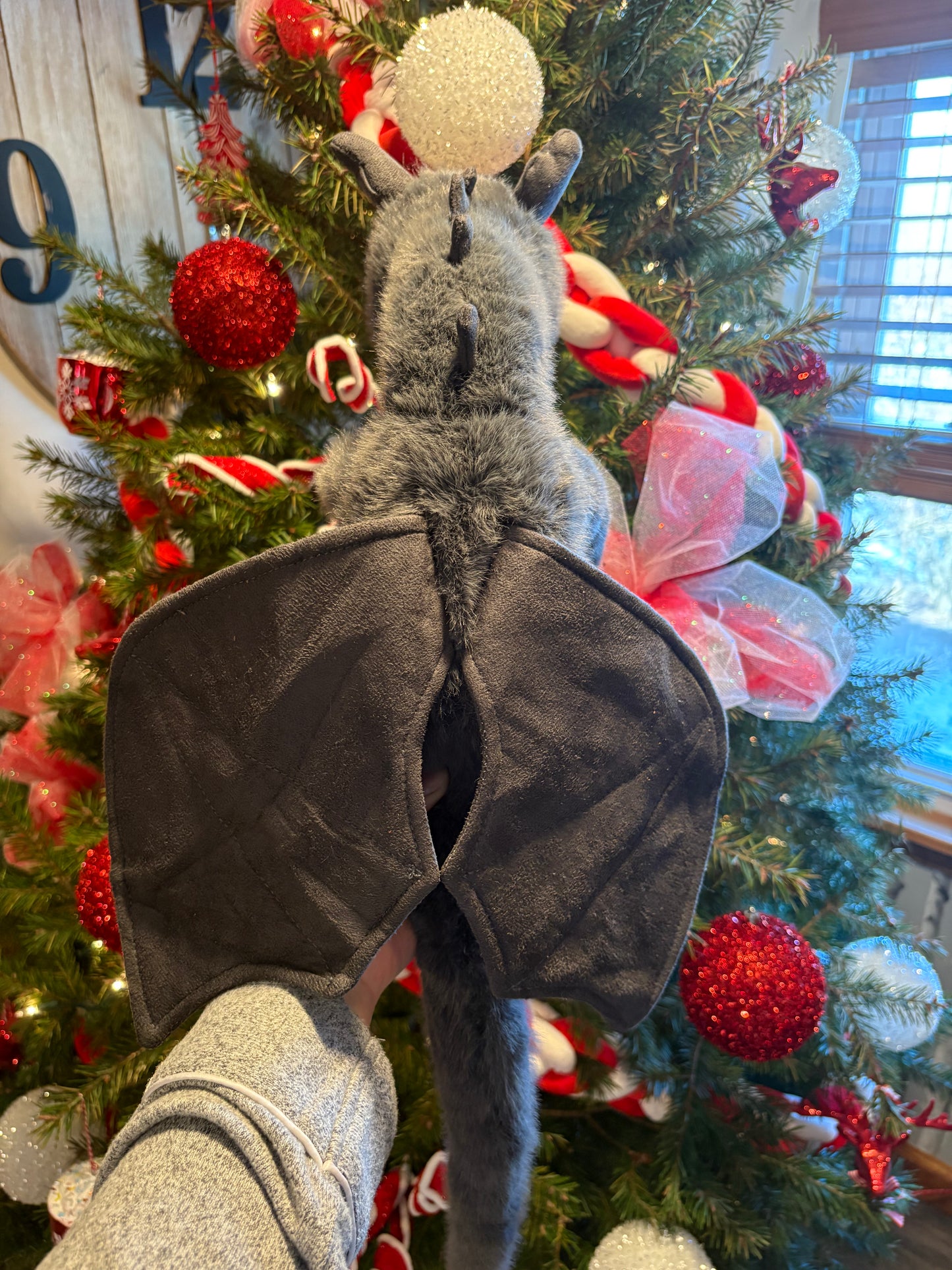 Ultimate book bundle!